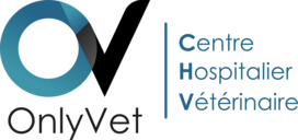 logo OnlyVet